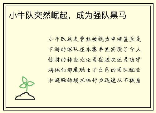 小牛队突然崛起，成为强队黑马