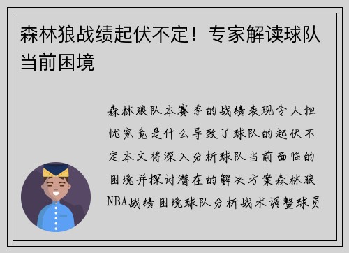 森林狼战绩起伏不定！专家解读球队当前困境