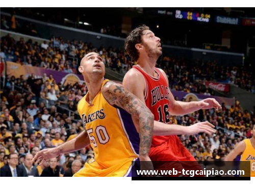 tcg彩票国王队辉煌时刻：探索NBA历史中萨克雷时代的不朽荣光