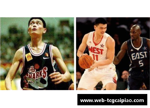 tcg彩票官方网站nba最高身高球员，你知道他们吗？ - 副本
