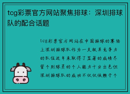 tcg彩票官方网站聚焦排球：深圳排球队的配合话题