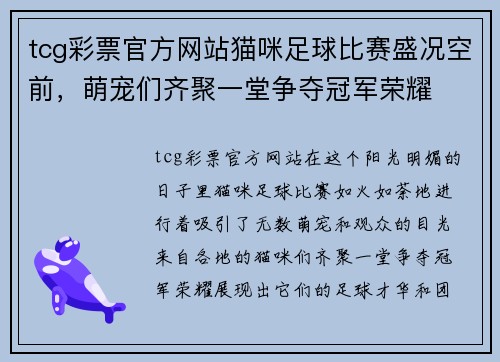 tcg彩票官方网站猫咪足球比赛盛况空前，萌宠们齐聚一堂争夺冠军荣耀